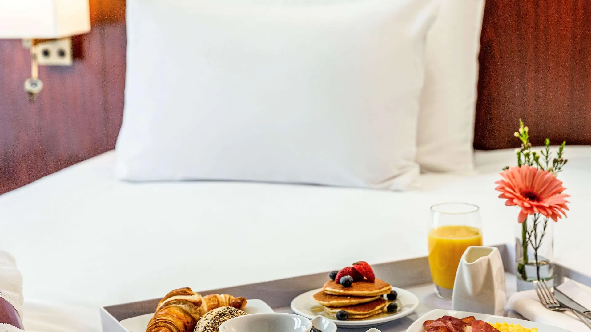 מלון Mercure Lourdes Imperial